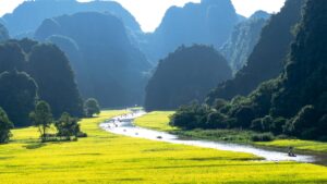 Magnificent Trip To Vietnam