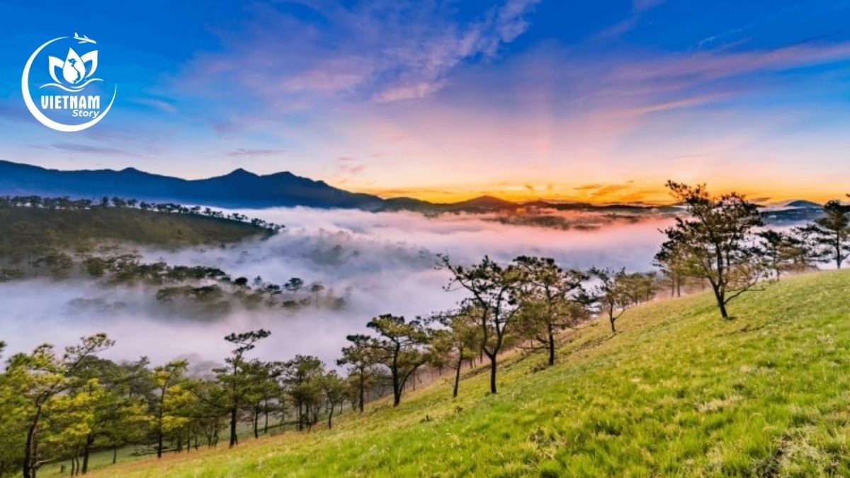 Da Lat – The Foggy Land Da Lat – The Foggy Land