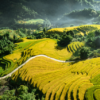 Sapa Vietnam