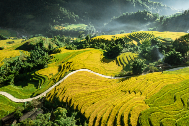 Sapa Vietnam