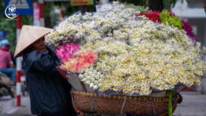 hanoi autumn