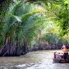 Mekong Delta