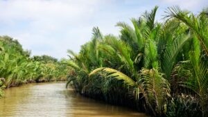 Mekong Delta