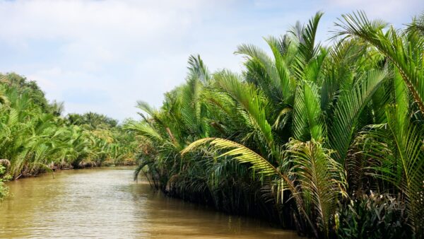 Mekong Delta