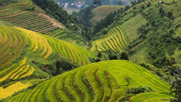 Northern Vietnam's Highlights