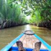 Mekong Delta