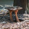 Cu Chi Tunnels