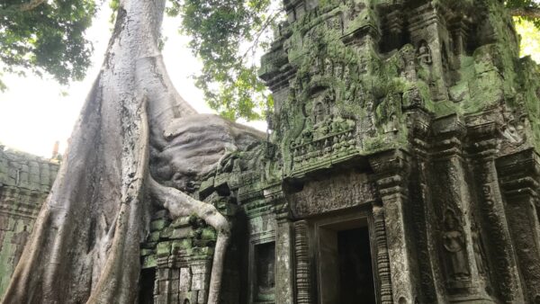 Angkor