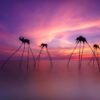 Phu Quoc beach sunset during a 5-day 4-night island itinerary