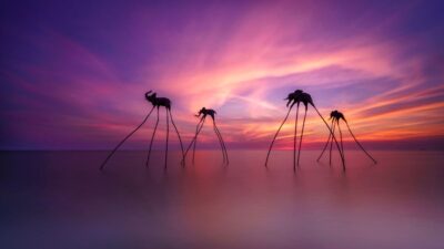 Phu Quoc beach sunset during a 5-day 4-night island itinerary