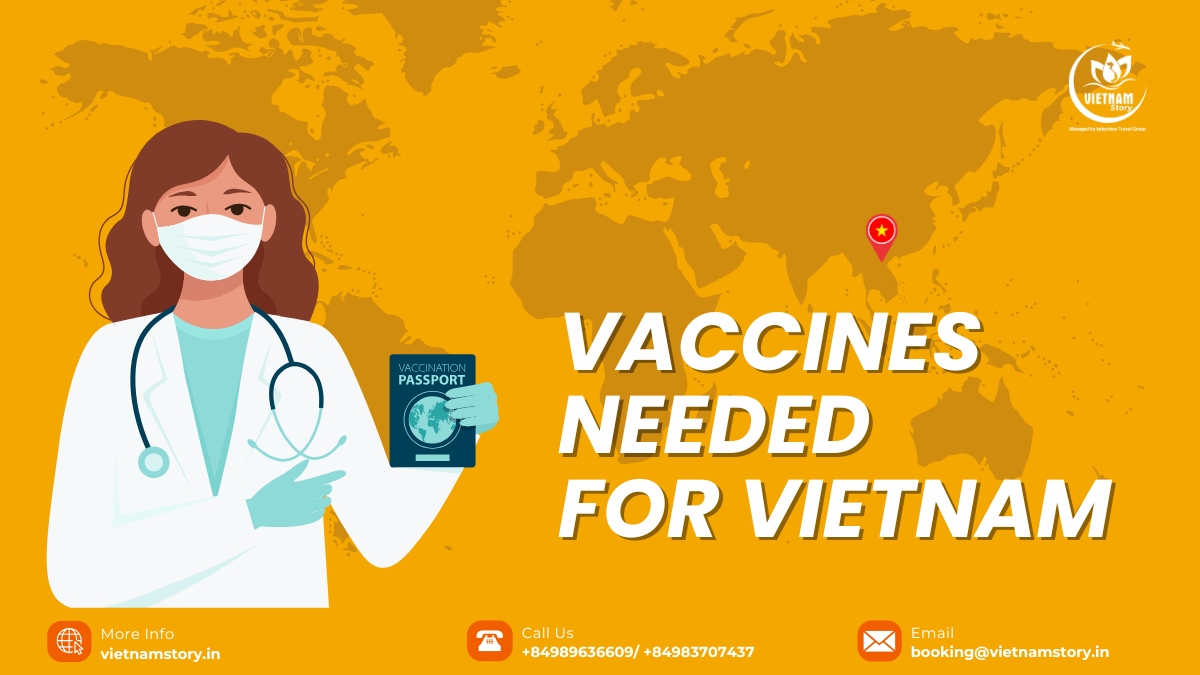 Safeguarding your yourney: A comprehensive guide to vaccines needed for Vietnam