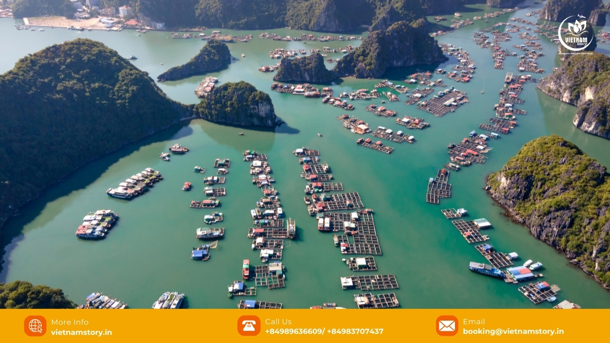 Cat Ba is one of the most popular islands in Vietnam