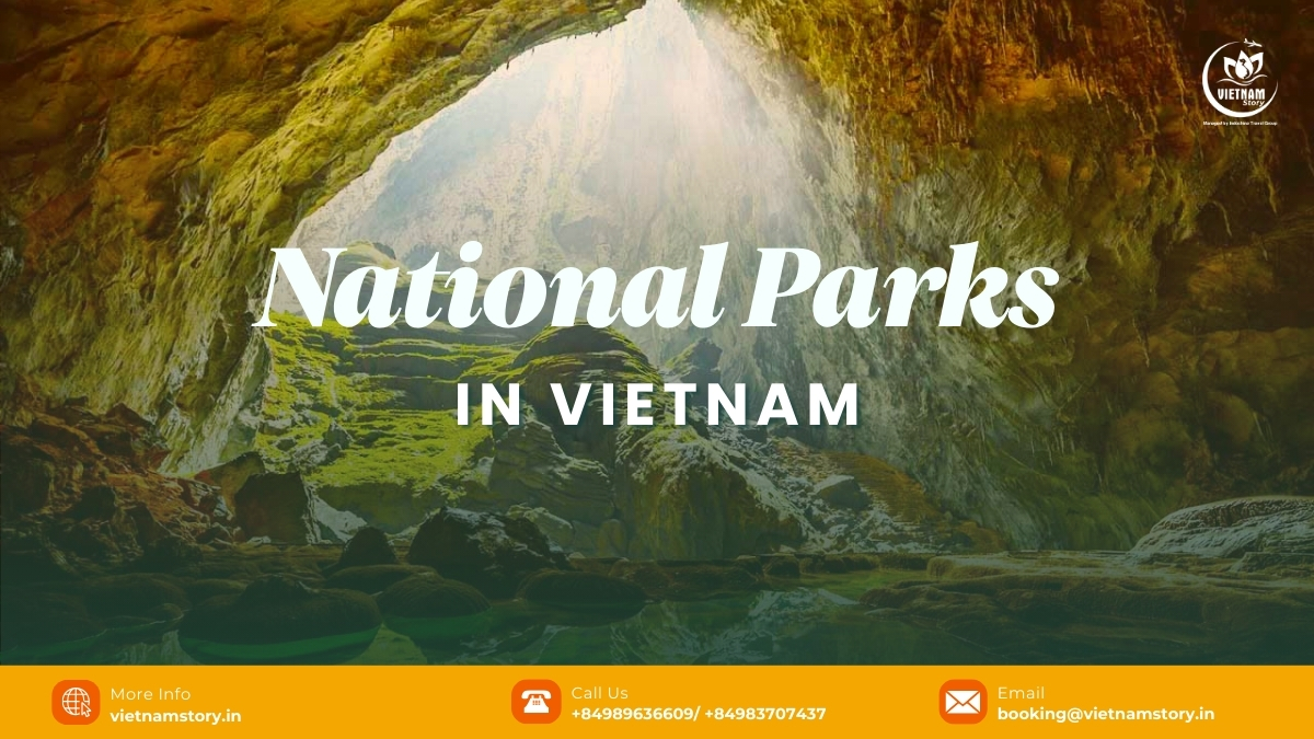 If you are looking for a unique and immersive travel experience in Vietnam, be sure to add Vietnam national parks to your itinerary