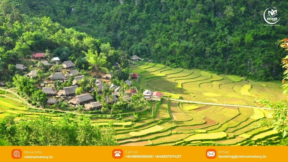 Explore the breathtaking scenery at Pu Luong, one of the most captivating Vietnam national parks