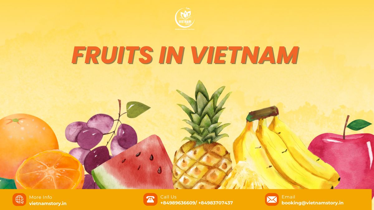 Thanks to the tropical climate, Vietnam is an ideal place for fruit growth