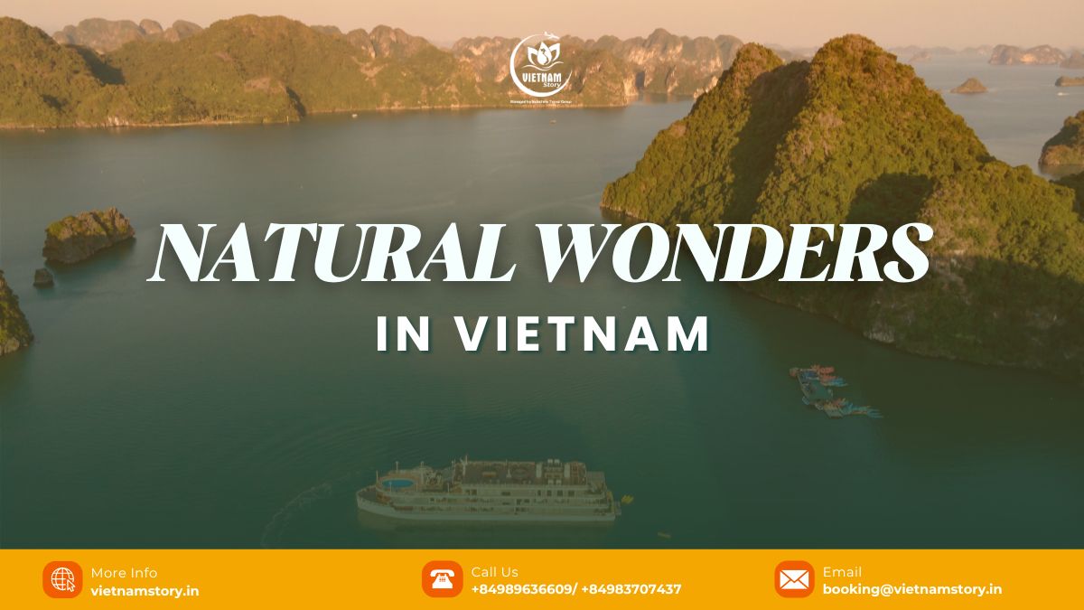 The vibrant colors of Vietnam nature, from golden rice fields to emerald-green forests