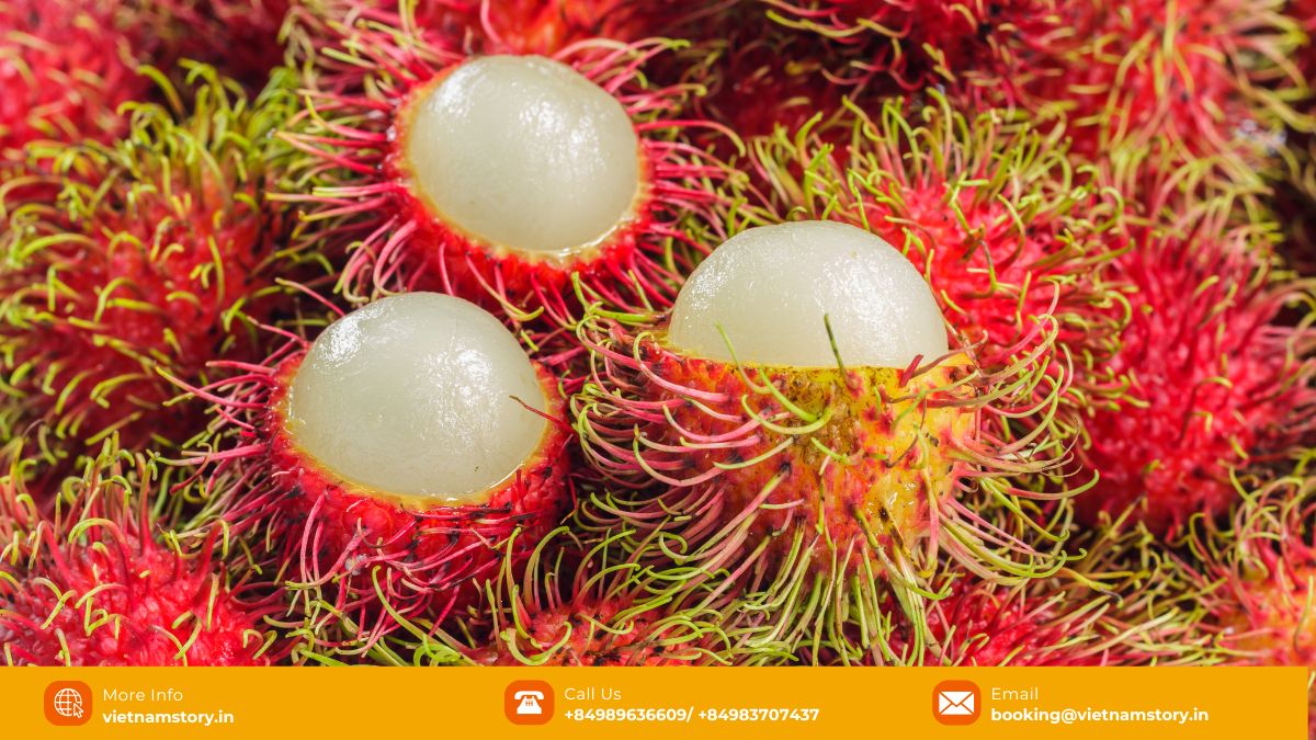 The outstanding look and delicious taste of Vietnamese rambutan