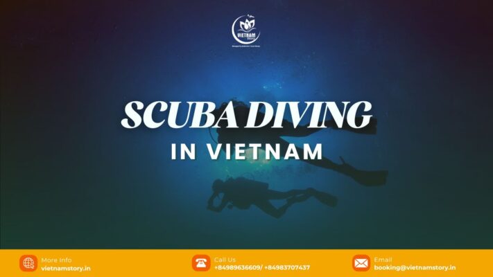 Scuba diving in Vietnam is the passion of many tourists