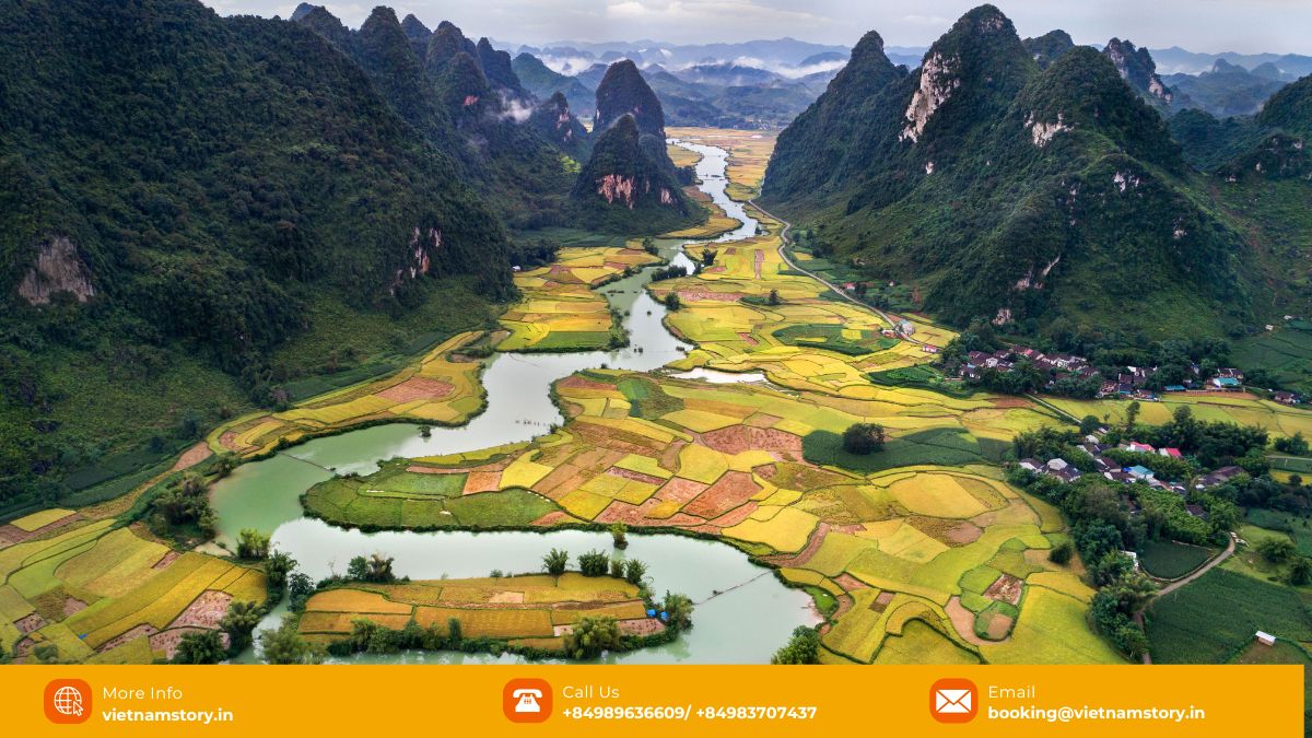 The golden rice terraces in Tam Coc