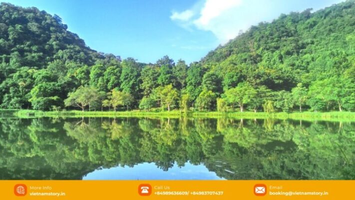 Forest landscape in Cuc Phuong National Park