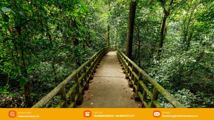 Forest landscape in the wider Ninh Binh region