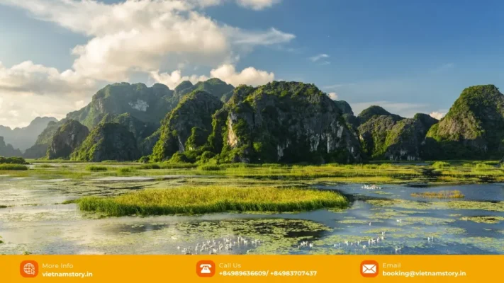 Van Long Nature Reserve wetland boat landscape in Ninh Binh