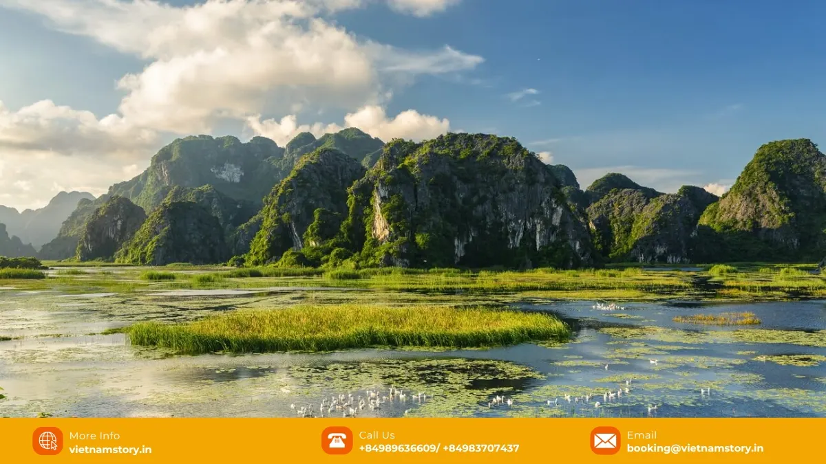 Van Long Nature Reserve wetland boat landscape in Ninh Binh