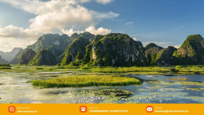 Come to Van Long Wetland Nature Reserve and take in all the sights and sounds