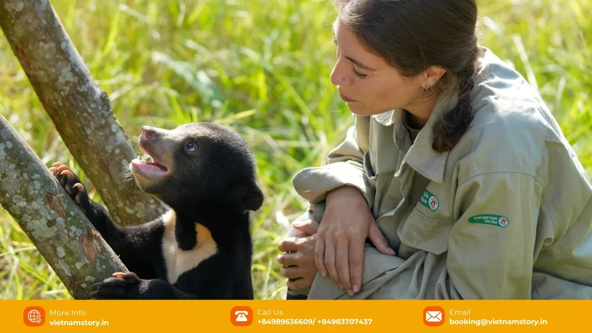 Educational visitor experience at Bear Sanctuary Ninh Binh