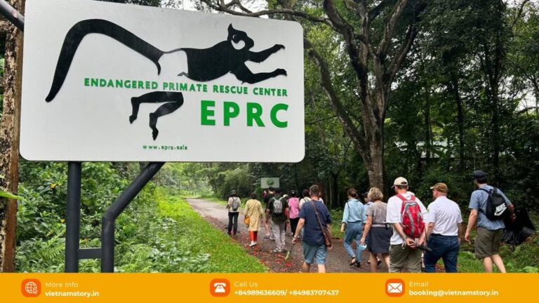 Visitors learning about primate conservation at the Endangered Primate Rescue Center