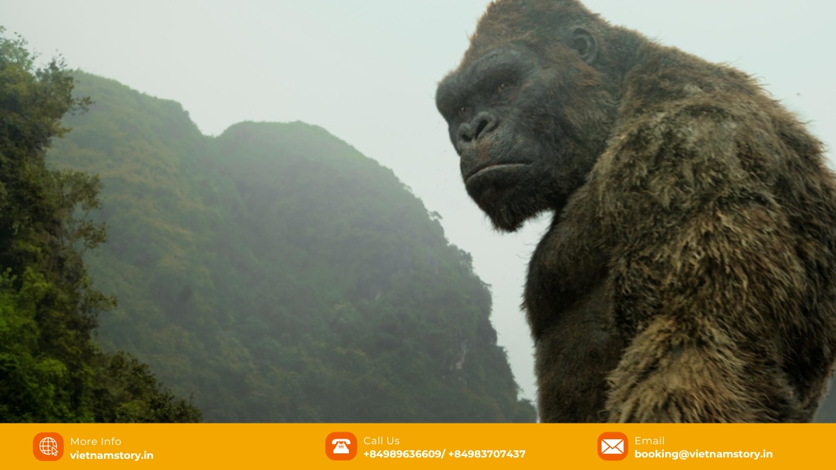 Kong Skull Island Vietnam: Journey to 7 breathtaking natural wonders seen on screen 9 Ha Long Bay - one of the world's most beautiful natural wonders
