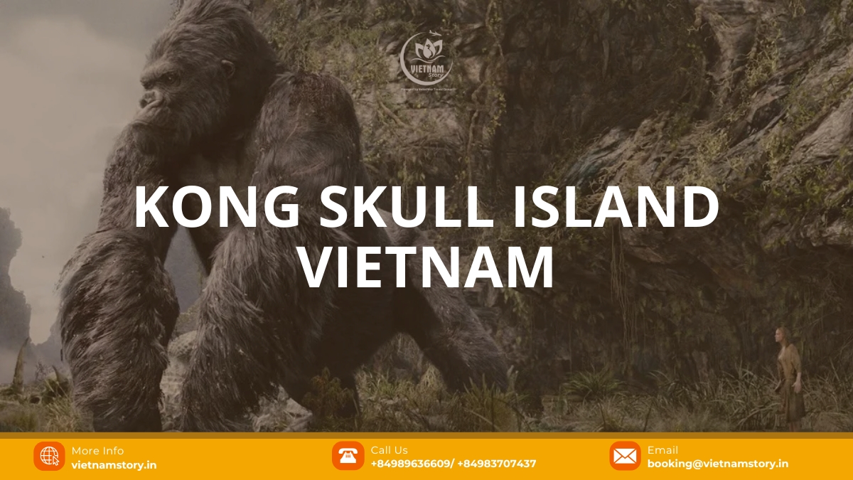 Kong Skull Island Vietnam: Journey to 7 breathtaking natural wonders seen on screen 2 Vietnam’s landscapes reflected in Kong Skull Island leave viewers in awe