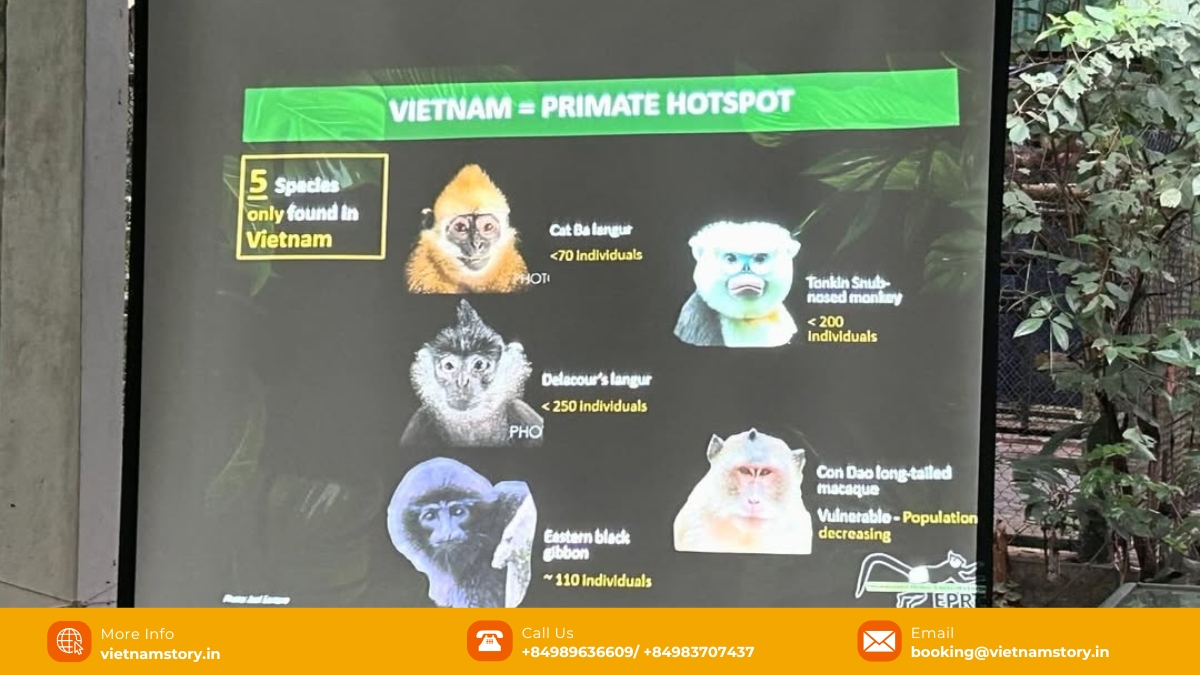The Endangered Primate Rescue Center is home to 15 primate species, with a total of 160 individuals. 