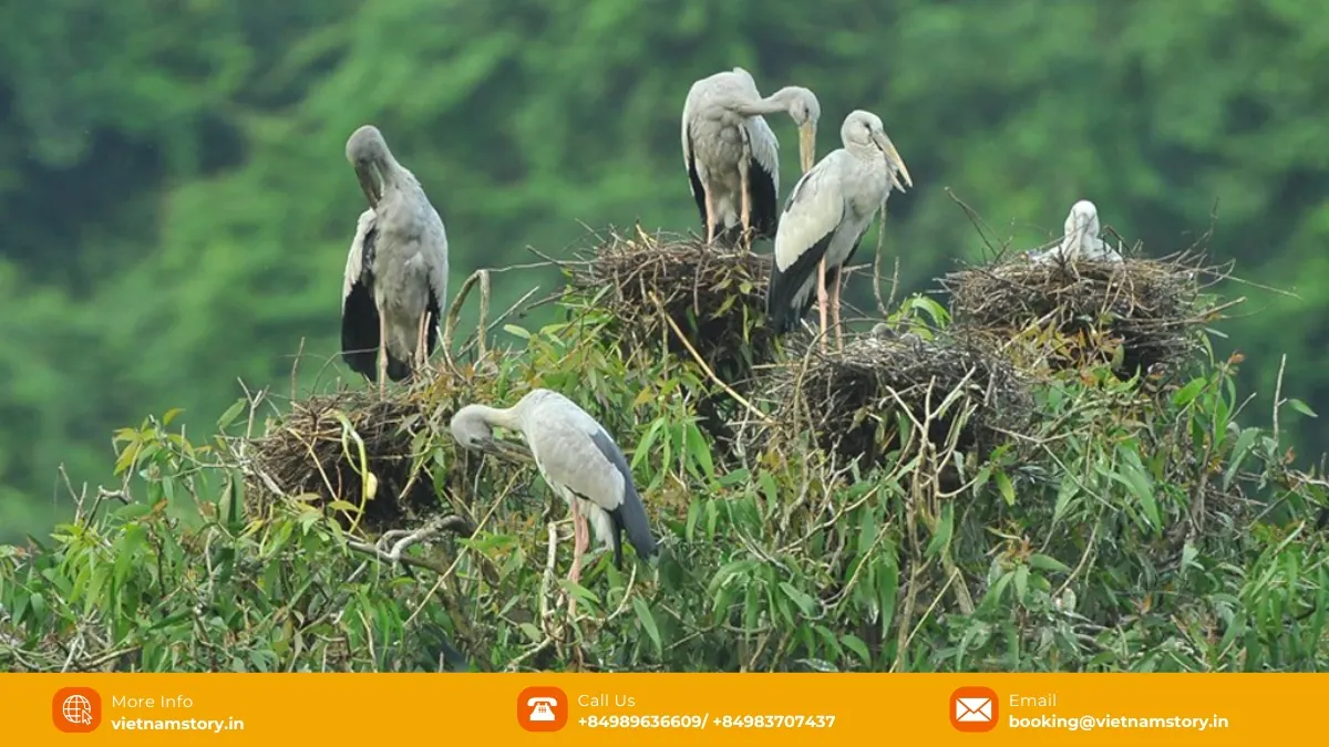 Bird habitat and landscaped nature area inside Thung Nham