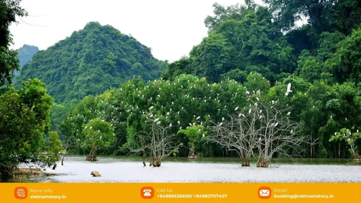 Thung Nham Bird Park and limestone landscape in Ninh Binh