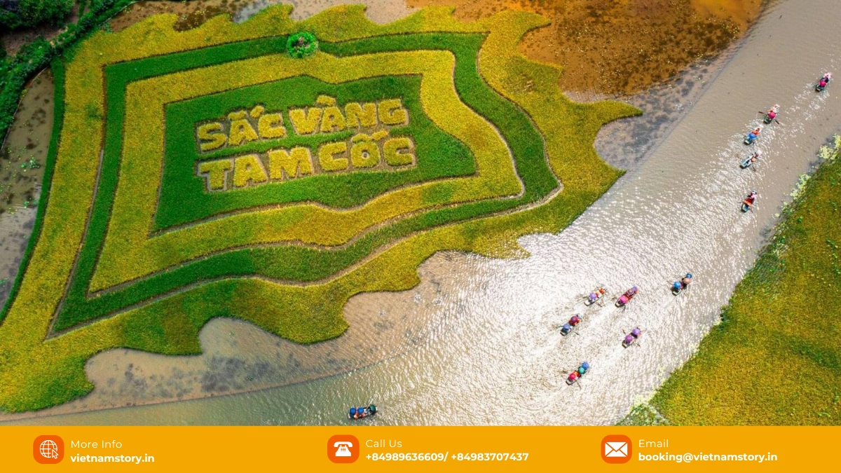 Ninh Binh or Sapa: Which is better for your unforgettable Vietnamese journey? 8 Mua Caves is among the not-to-be-missed attractions in Ninh Binh