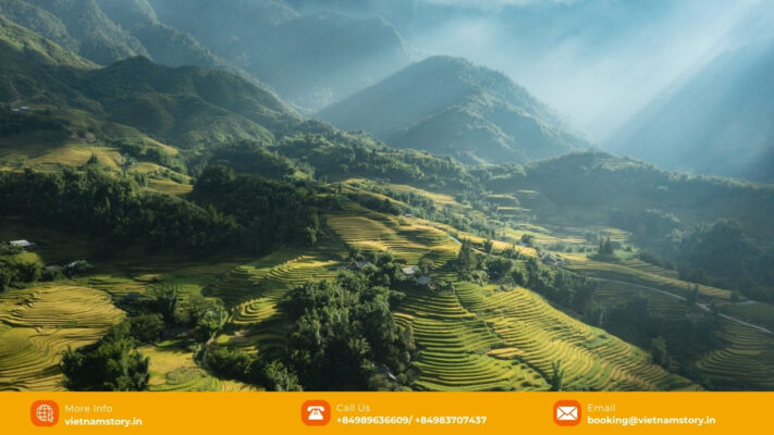 Rice terraces in Sapa, Northern Vietnam
