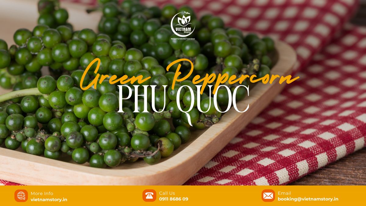 A taste of the jungle - The fresh, aromatic world of Phu Quoc Green Peppercorn 2 Phu Quoc green peppercorns have a fragrant and tangy taste