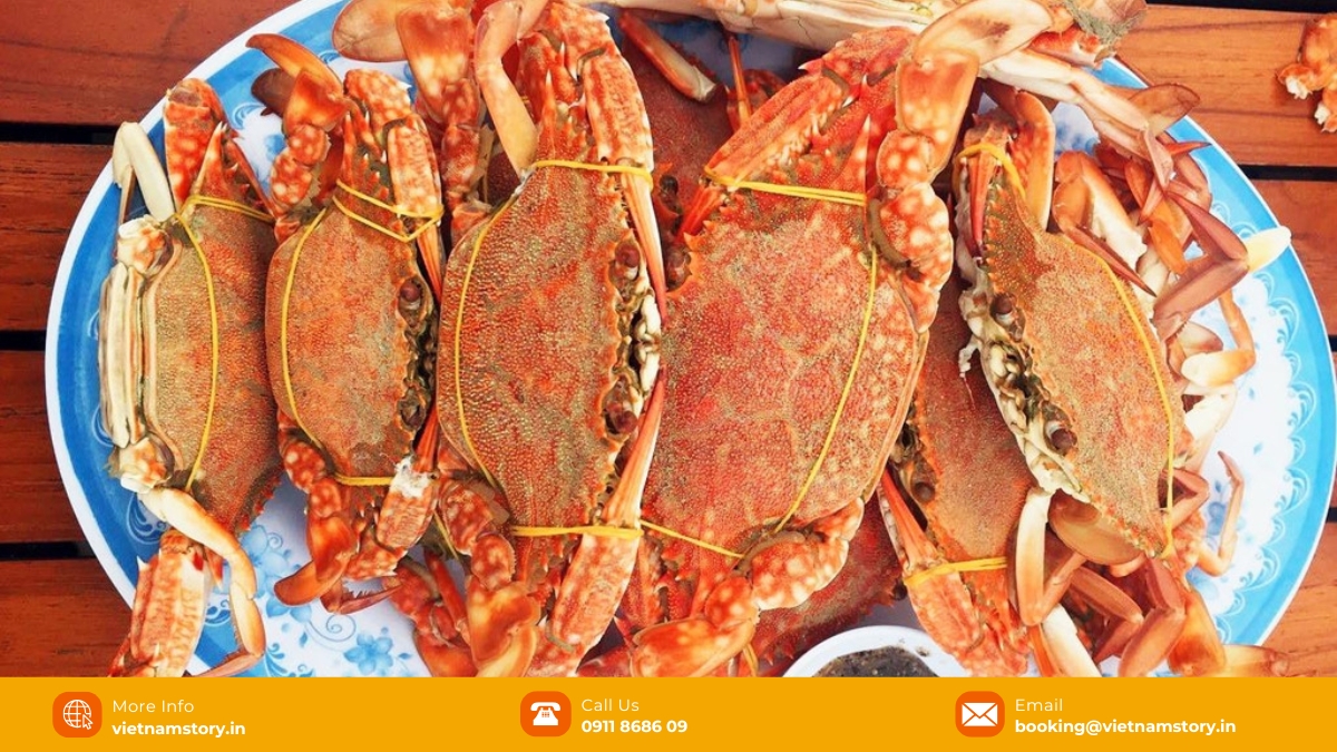 A taste of old Phu Quoc: Your full Ham Ninh Fishing Village guide 4 Eye-catching patterns on Ham Ninh flower crabs’ shells