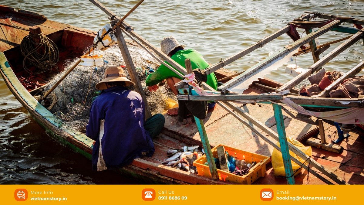 A taste of old Phu Quoc: Your full Ham Ninh Fishing Village guide 5 Catching fish in Ham Ninh fishing village