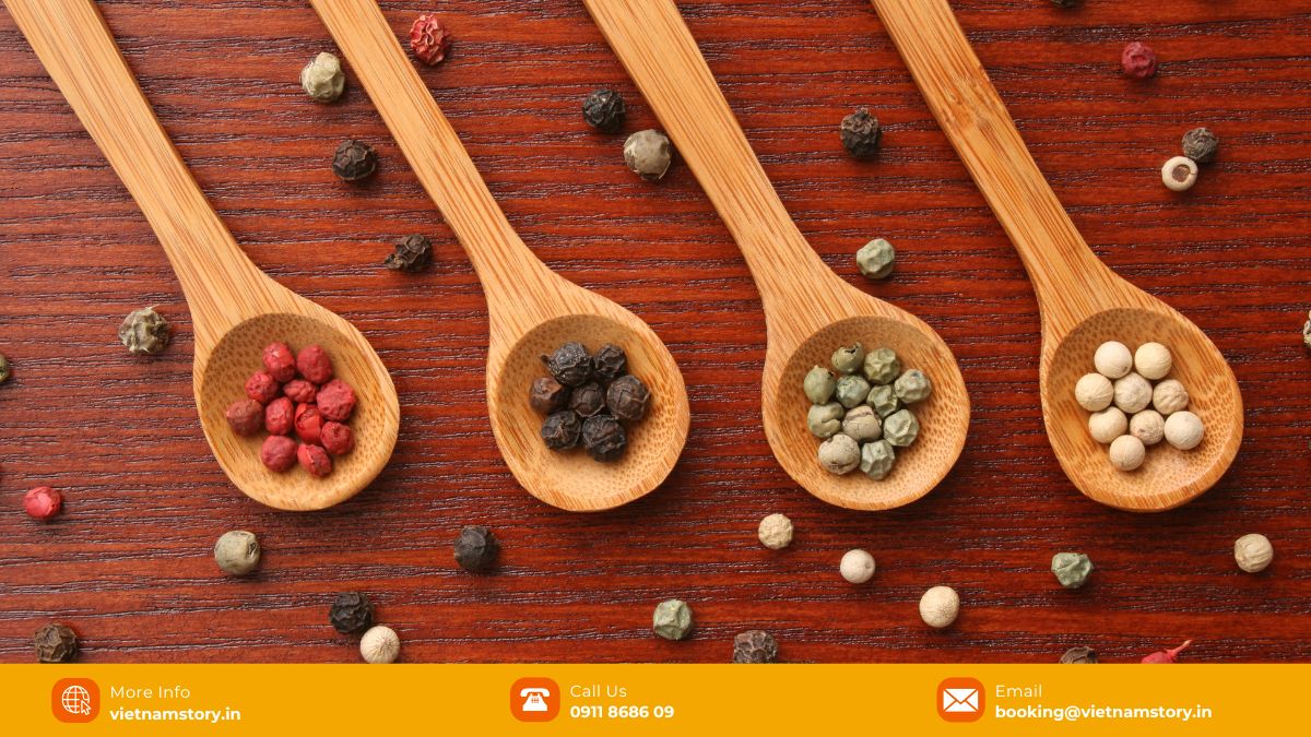 A taste of the jungle - The fresh, aromatic world of Phu Quoc Green Peppercorn 3 Green pepper, black pepper, white pepper, red pepper