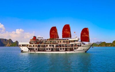 Alisa Premier Cruise 2D1N