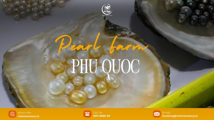 Phu Quoc pearl farms offer a diverse range of high-grade pearls