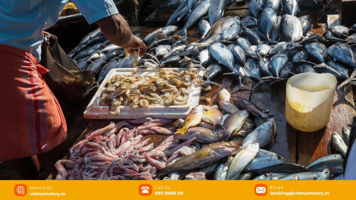 The heartbeat of Da Nang: A guide to the sights, sounds and flavours of Han Market for Indian travellers 5 Han Market is a great place to buy fresh seafood in Da Nang
