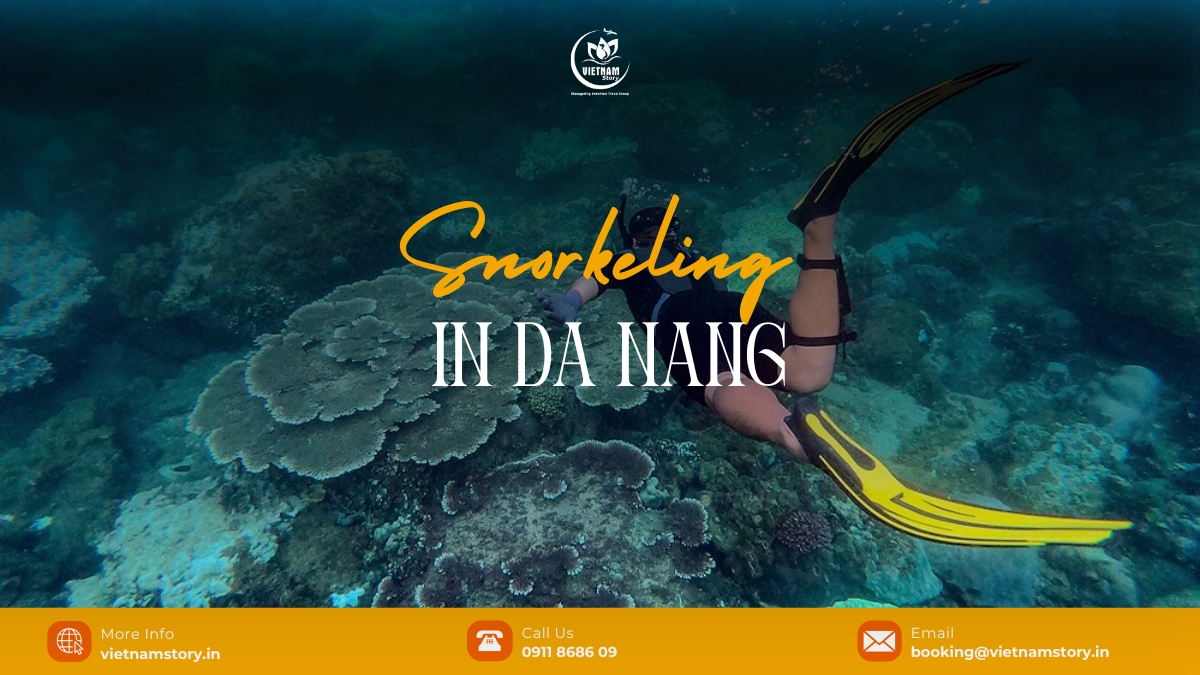 Snorkeling in Da Nang is a leisure activity in which you swim on the water’s surface and simultaneously observe the marine life under it