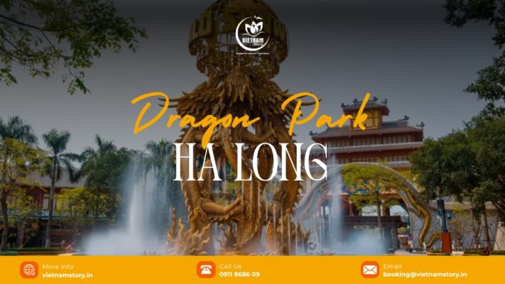 Dragon Park Ha Long: The Adrenaline Heart of the Bay