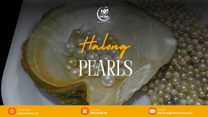 Ha Long Pearl: A Guide to the “Living Gems” of the Bay