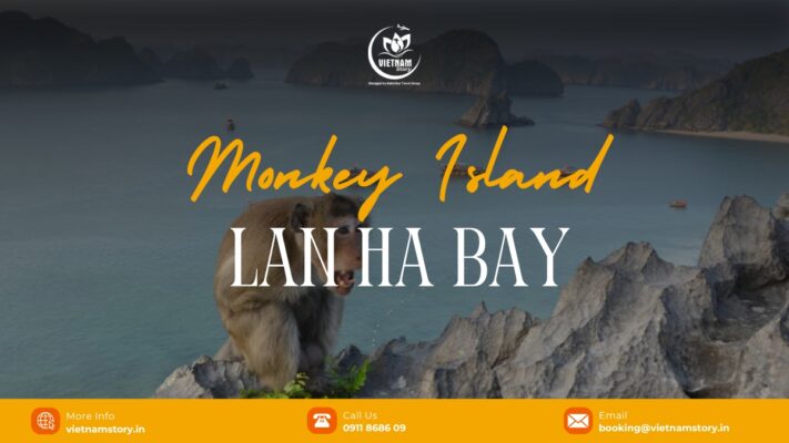 Monkey Island, Lan Ha Bay: Your Guide to a Primate Paradise