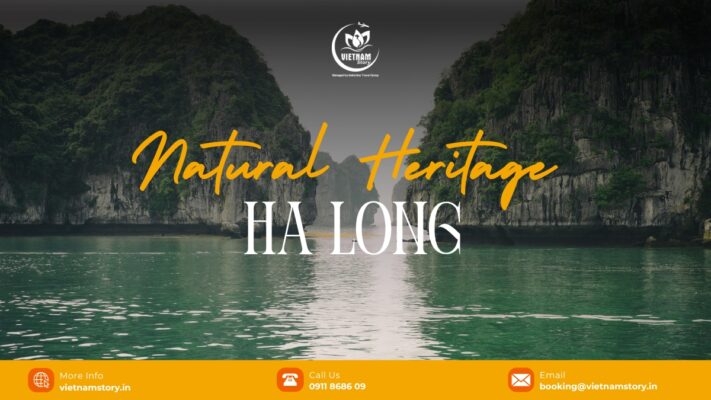 Ha Long Natural Heritage: A Guide to the 500-Million-Year-Old Masterpiece