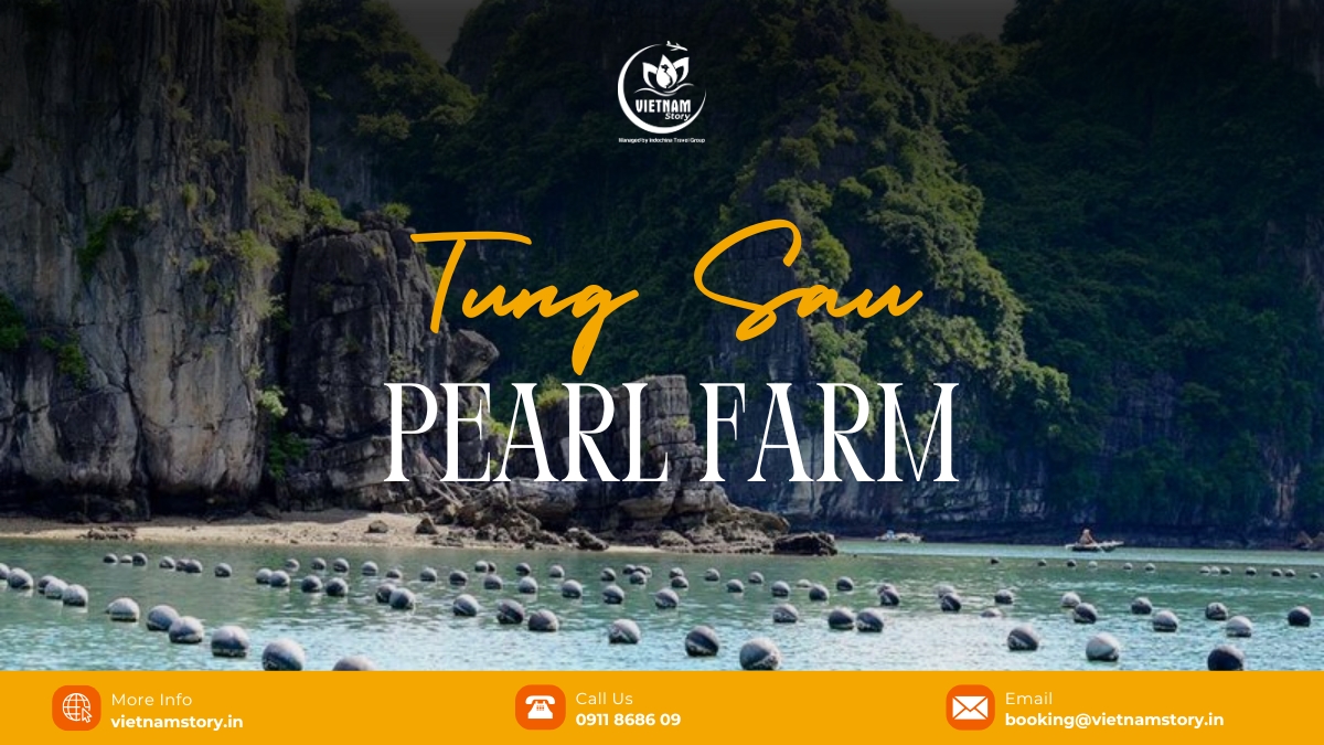 Established in 1995 by a Japanese company, Tung Sau Pearl Farm is a unique tourist attraction in Ha Long Bay, famous for its natural pearl cultivation process and advanced techniques.